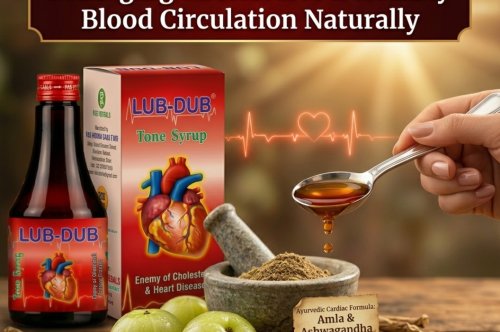 Natural Heart Wellness Support: Managing Cholesterol & Healthy Blood Circulation Naturally